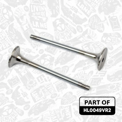 Junta de culata Seat Ibiza 3 6L1