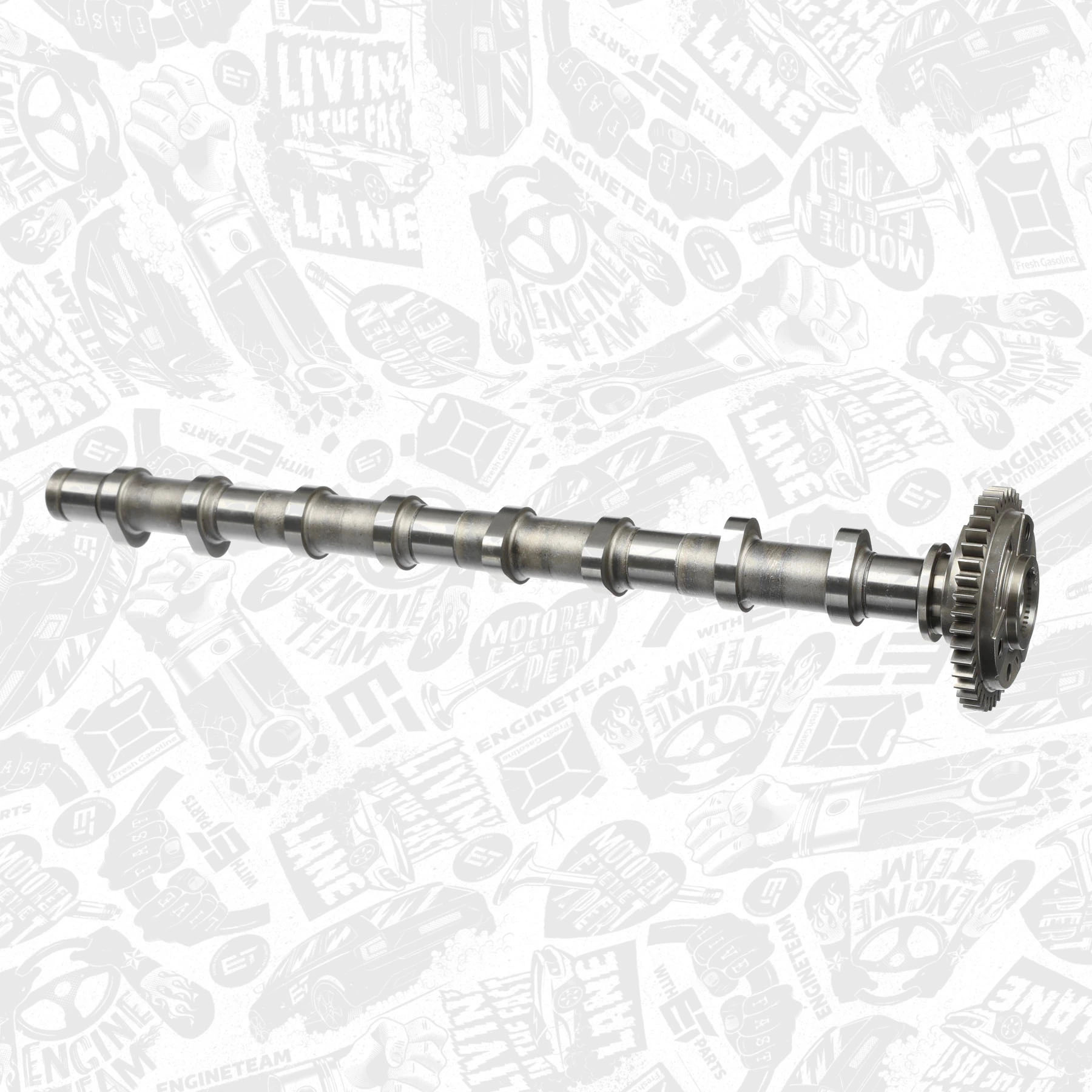 Árboles de levas BMW 5 familiar (E61) (2003 - 2009) precio, desde 222,16 EUR
