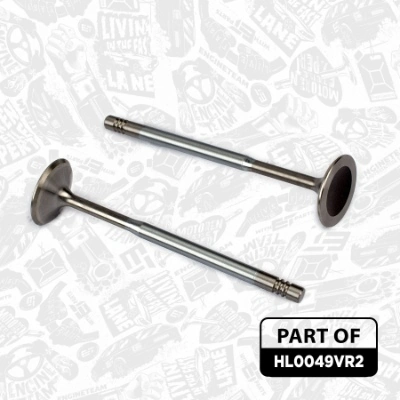 Junta de culata Seat Ibiza 3 6L1