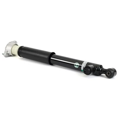SK3059 Arnott Amortiguadores posteriores