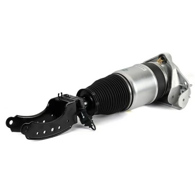 AS3165 Arnott Amortiguador frontal izquierdo