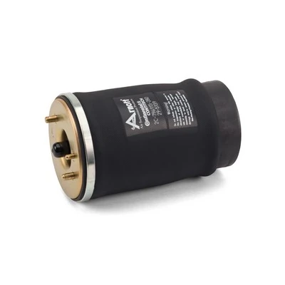 Comprar A2502 Arnott Bolsa de aire del eje trasero