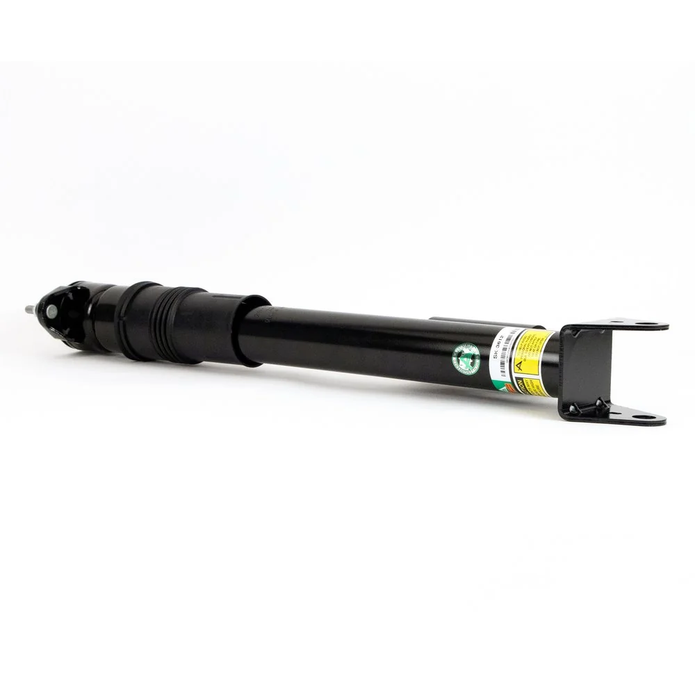 SK3612 Arnott Amortiguadores posteriores
