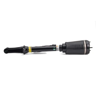 Comprar AS2450 Arnott Amortiguador