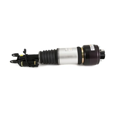 Amortiguador delantero derecho Arnott AS2785 precio, desde 555,21 EUR