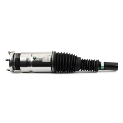Comprar ASE3735 Arnott Amortiguador delantero izquierdo