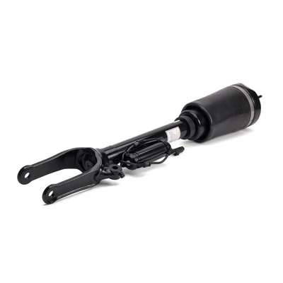AS2450 Arnott Amortiguador frontal
