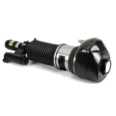 AS3373 Arnott Amortiguador frontal izquierdo