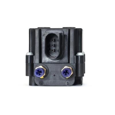 VB3787 Arnott