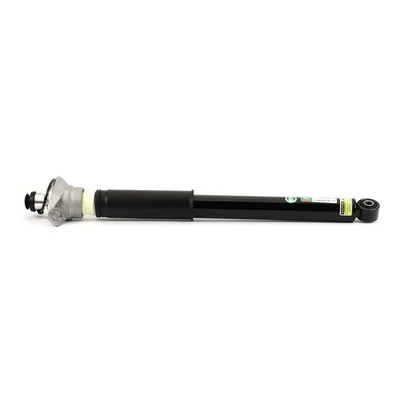 SK3391 Arnott