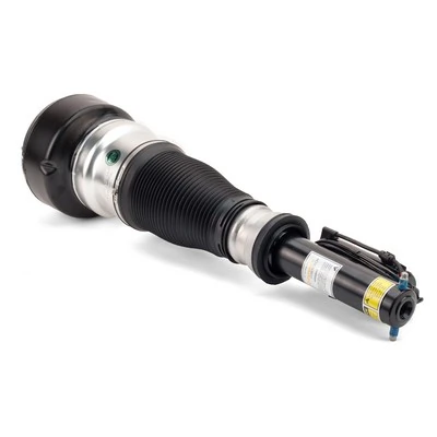 AS2540 Arnott Amortiguador frontal