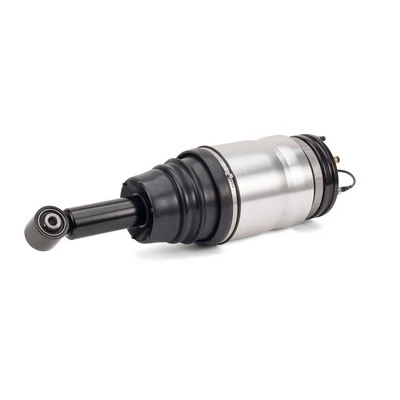 AS2762 Arnott Amortiguadores posteriores