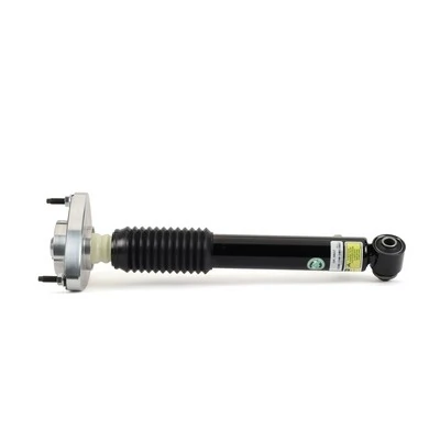 SK3607 Arnott
