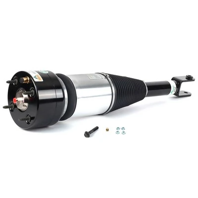 AS2888 Arnott Amortiguador frontal