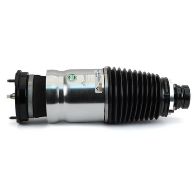 Comprar AS3380 Arnott Amortiguador