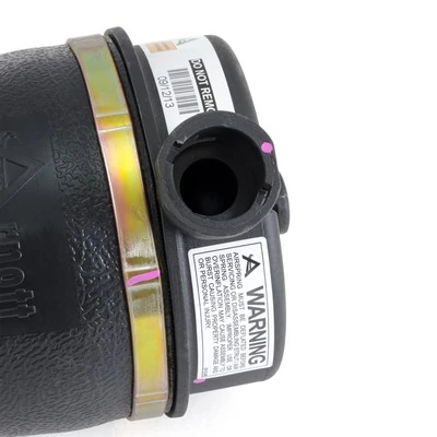 Comprar A2153 Arnott Bolsa de aire del eje trasero