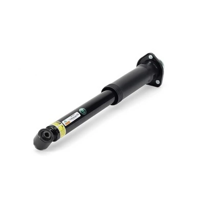 SK3122 Arnott Amortiguadores posteriores