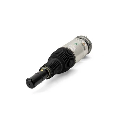 AS3070 Arnott Amortiguador frontal izquierdo
