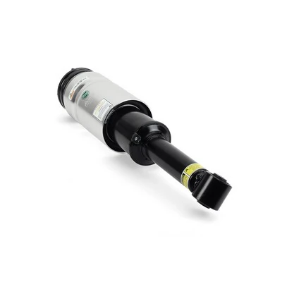 AS2809 Arnott Amortiguador frontal