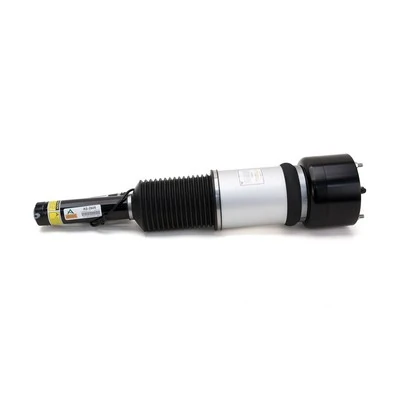Comprar AS2605 Arnott Amortiguador