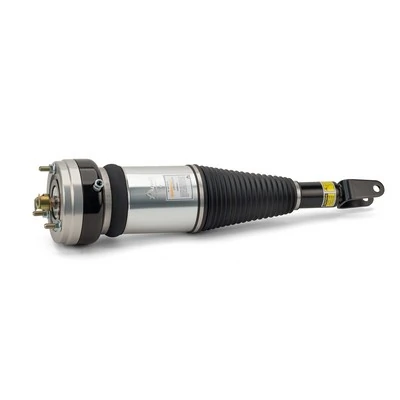 Comprar AS2855 Arnott Amortiguador delantero derecho