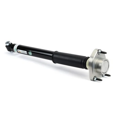 SK3385 Arnott