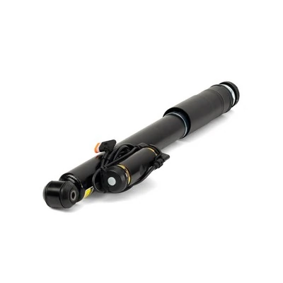 SK3012 Arnott Amortiguadores posteriores