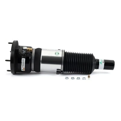 Comprar AS3309 Arnott Amortiguador