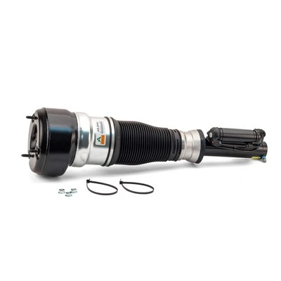 Comprar AS2540 Arnott Amortiguador