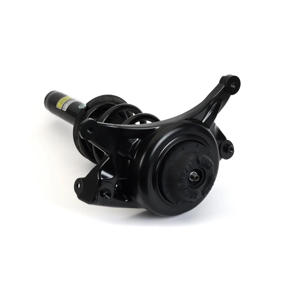 Comprar SK3842 Arnott Amortiguador