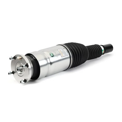 Amortiguador delantero izquierdo Arnott ASE3735 precio, desde 612,10 EUR