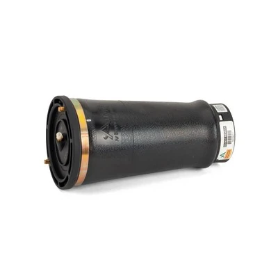 Comprar A2202 Arnott Bolsa de aire del eje trasero