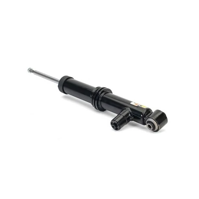 SK2805 Arnott Amortiguador trasero derecho