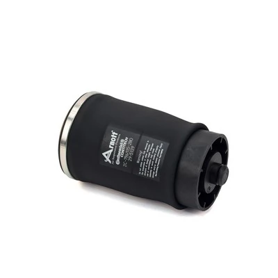 A2503 Arnott Bolsa de aire del eje trasero