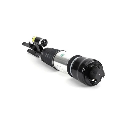 AS2295 Arnott Amortiguador frontal izquierdo
