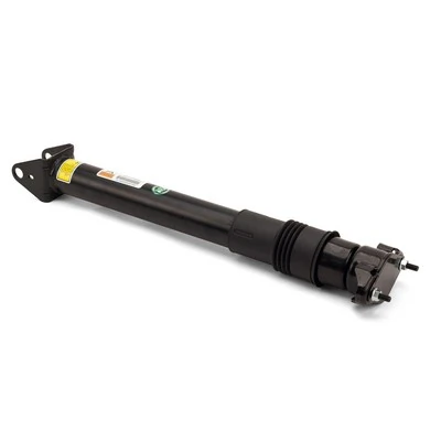 SK2868 Arnott Amortiguadores posteriores