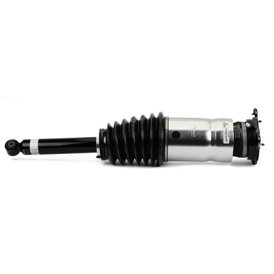 Comprar AS3381 Arnott Amortiguador trasero