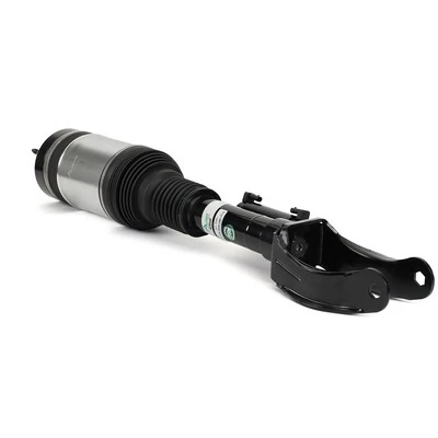 Amortiguador delantero derecho Arnott AS3593 precio, desde 484,97 EUR