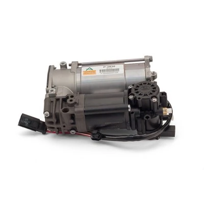 Compresor de suspensión neumática Arnott P2830 precio, desde 282,23 EUR