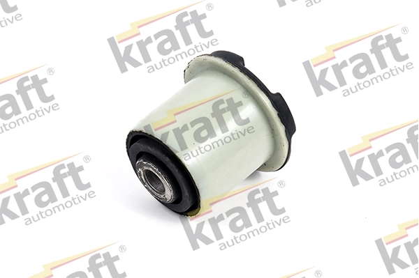 4231595 Kraft