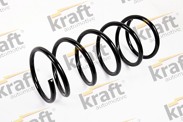 Muelles delantero para Ford Focus I (DFW)