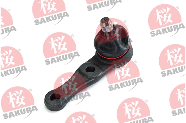 422008310 Sakura