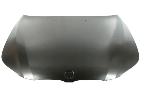 Capó del motor BMW 5 familiar (E61) (2003 - 2009) precio, desde 325,25 EUR
