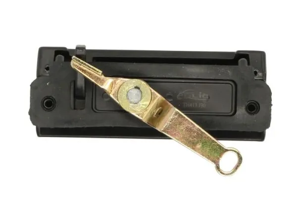 601003024417P 4max Manilla de puerta de maletero exterior