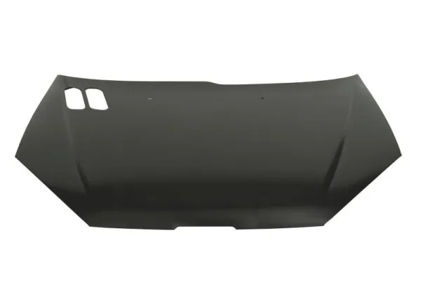 Capó delantero para Peugeot 206  2A/C