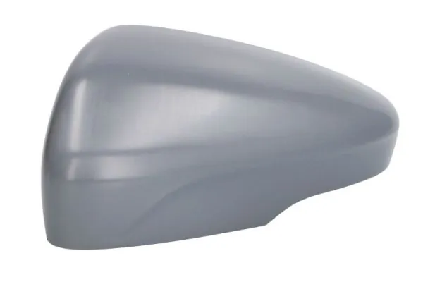 Comprar 2566271 Ford Cubierta De Espejo Retrovisor Izquierdo