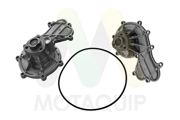 LVWP1098 Motaquip