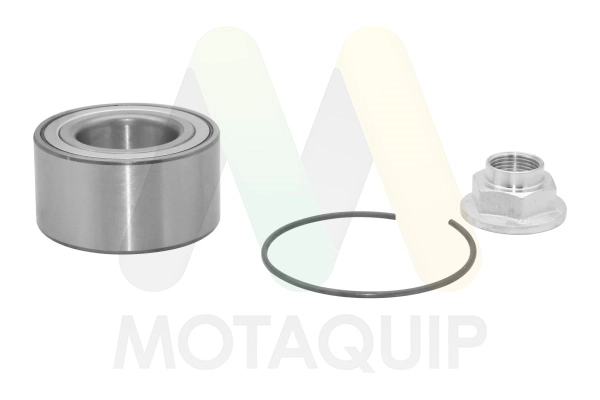 LVBW1842 Motaquip