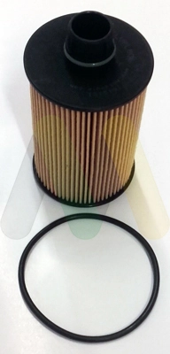 LVFL806 Motaquip