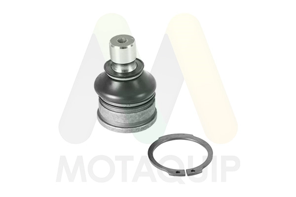 LVSJ1161 Motaquip